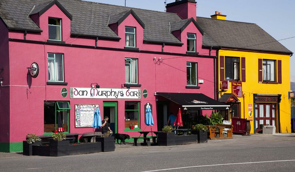 Beár Dan Murphy insan tSnaidhm, i gCiarraí Pic Peter Zoeller/Design Pics via ZUMA Wire)