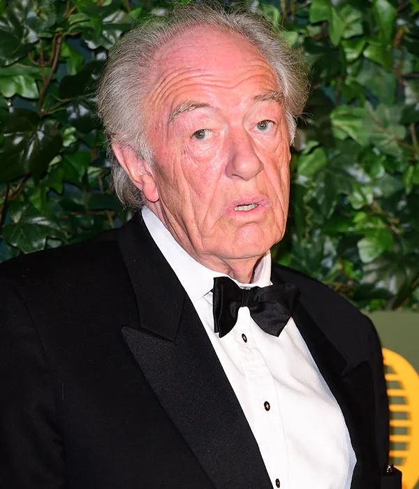 Ní bhfuair an bheirt mhac a bhí ag Gambon le Ms Hart – Tom, 17, agus William, 15 – ach £10,000 an duine agus trófaí, gradam airgid aisteoir stáitse ‘Variety Club of Great Britain’