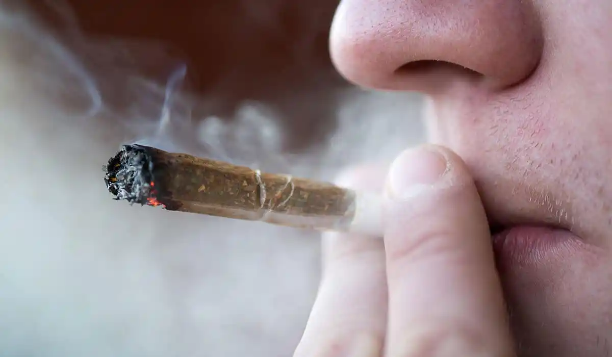 Tá úsáideoirí cannabais ag ceiliúradh sa Ghearmáin