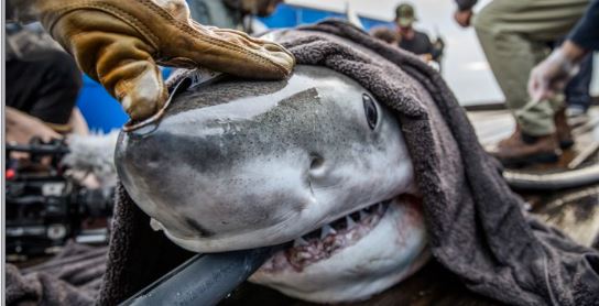 Is breá leo an t-uisce céime 15°C, 16°C sin atá díreach amach ó chósta na hÉireann