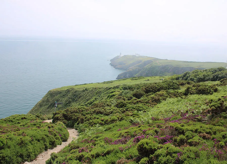 Howth Cliff Walk 2
