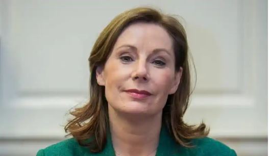 Bhí sí ina hAire Chultúir, Oidhreachta agus Gaeltachta ó 2017 go dtí 2020.