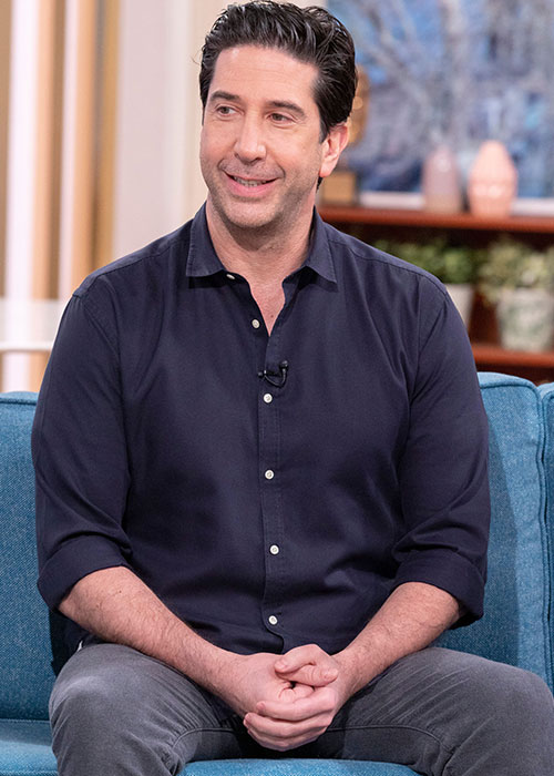 David Schwimmer