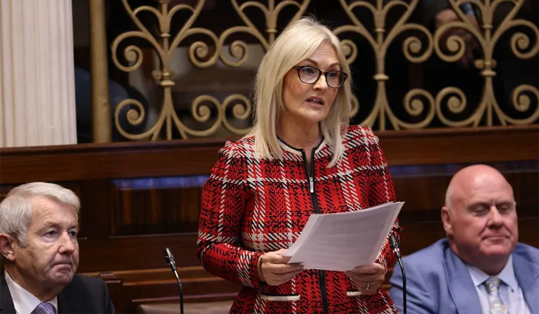 Bhí an Ceann Comhairle ina ball den ghrúpa Réigiúnach sular toghadh í don ról 