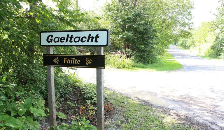 Reáchtálann Gaeltacht an Oileáin Úir féilte agus cláranna eile chomh maith le himeachtaí foghlama do chainteoirí Gaeilge 