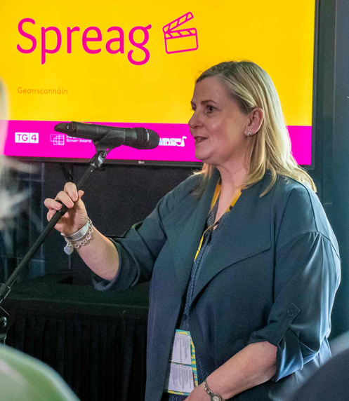 Cuirfear deis ar fáil faoin scéim seo chun daoine cumasacha nua a bhfuil Gaeilge acu a fhorbairt sa tionscal