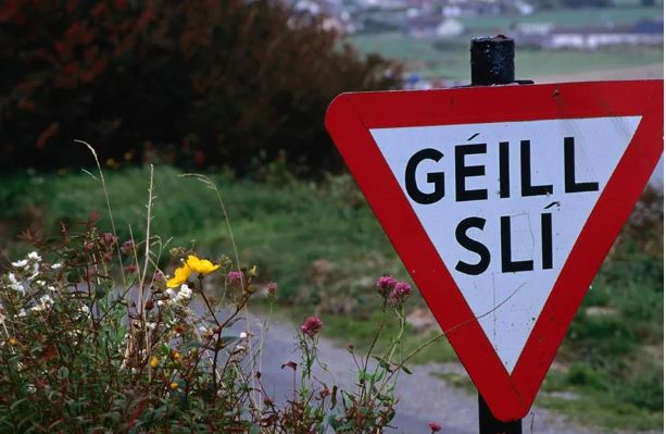 Baileoidh pobal Gaeltachta i nDún na nGall, sa Ghaillimh agus i gCorcaigh lasmuigh d’oifigí institiúidí éagsúla