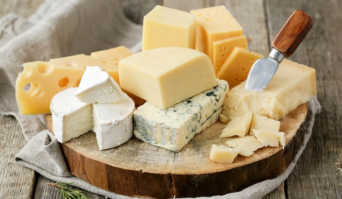 Tá táirgí déiríochta, cosúil le bainne, iógart agus cáis, tábhachtach don tsláinte mar gheall ar na cothaithigh (nutrients) atá iontu