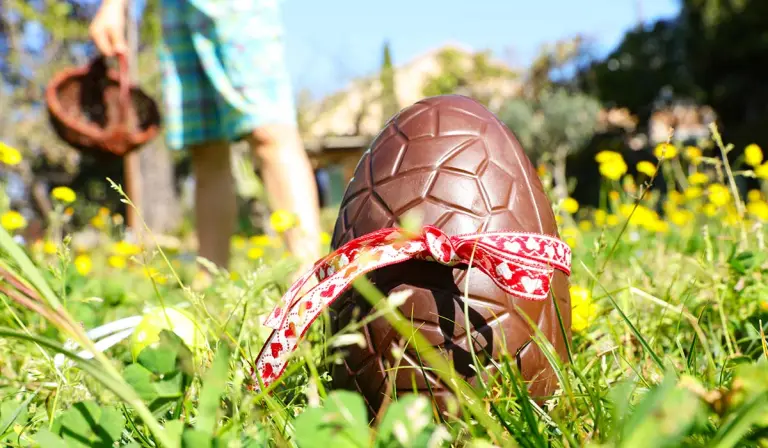 Dúirt Dogs Trust go gcaithfear seacláid a choimeád 'i bhfad ó lámh na madraí, mar tá sí nimhneach dóibh’