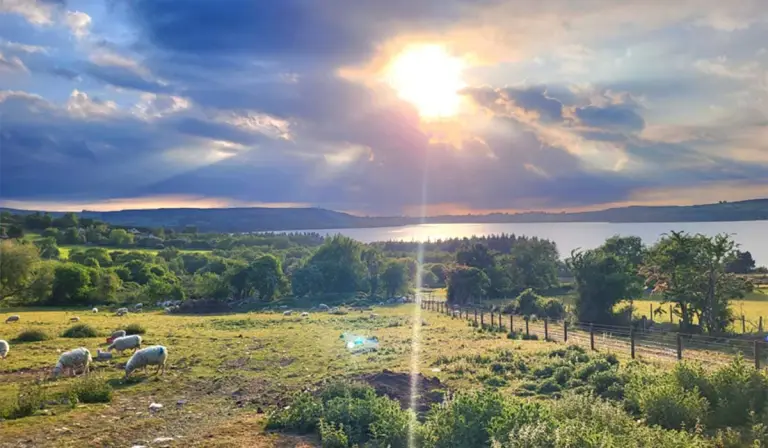 Liam Gaskin Wicklow 2