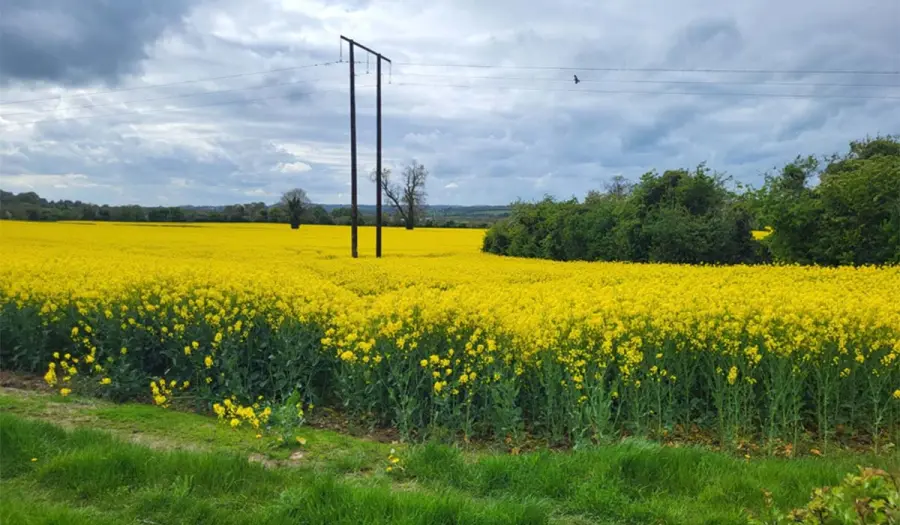 Is bóthar chomh díreach le haon áit eile in Éirinn é seo, agus is ceann iontach é