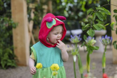 thumbnail Bloom Festival 5