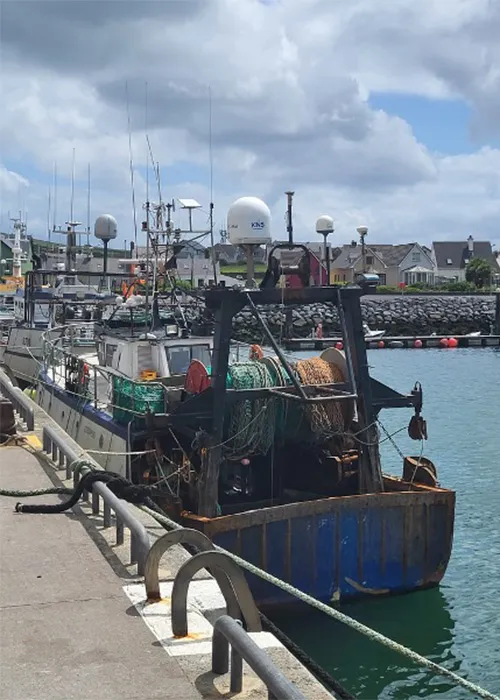 Nuair a shroicheamar An Daingean, bhí an baile plódaithe le cuairteoirí ó gach cearn den domhan 