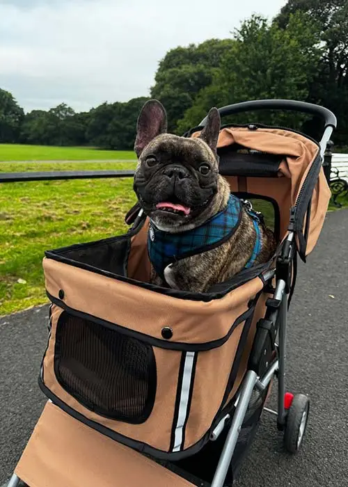 ‘Ba tusa an t-aon duine a raibh mé ag iarraidh a fheiceáil gach lá, agus bhí mo chroí ag briseadh nuair nach raibh tú liom fiú ar feadh cúpla uair'
