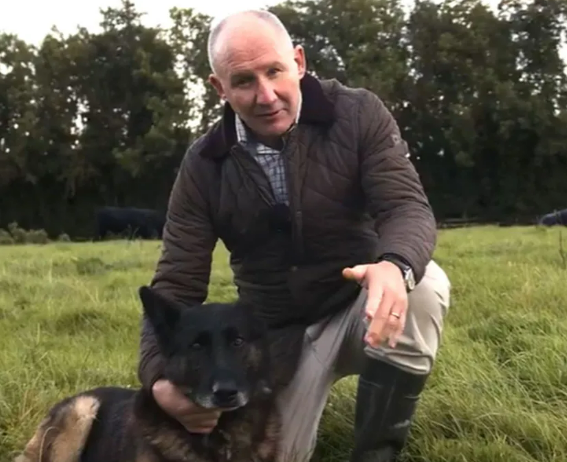 Na brístí bána agus an geata oscailte