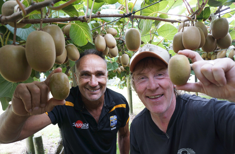 Screenshot 2025 10 17 153444