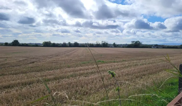 Cliabhán bia na hÉireann atá i gContae Bhaile Átha Cliath Thuaidh