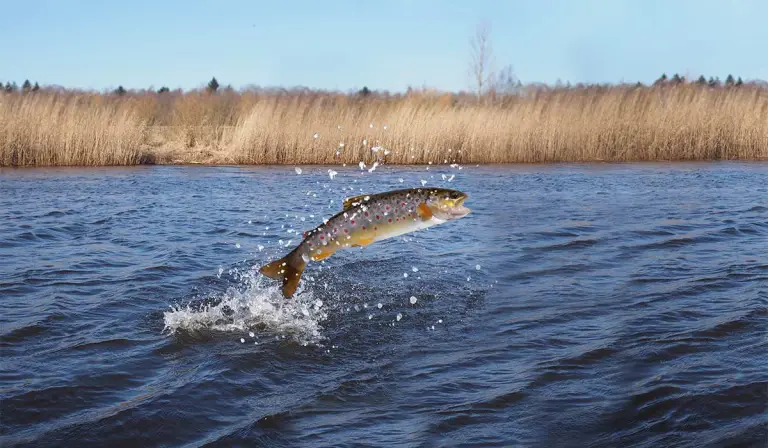 shutterstock 496497016