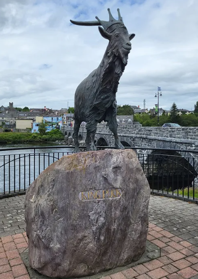 Rí Puc ag bealach isteach Chill Orglan. Pictiúir: Liam Gaskin