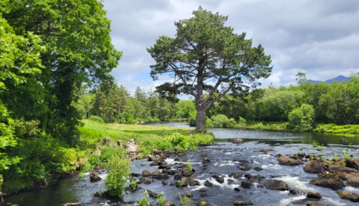 Screenshot 2025 11 14 095518