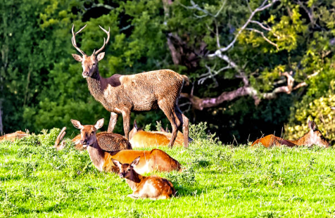 Screenshot 2025 12 05 112948