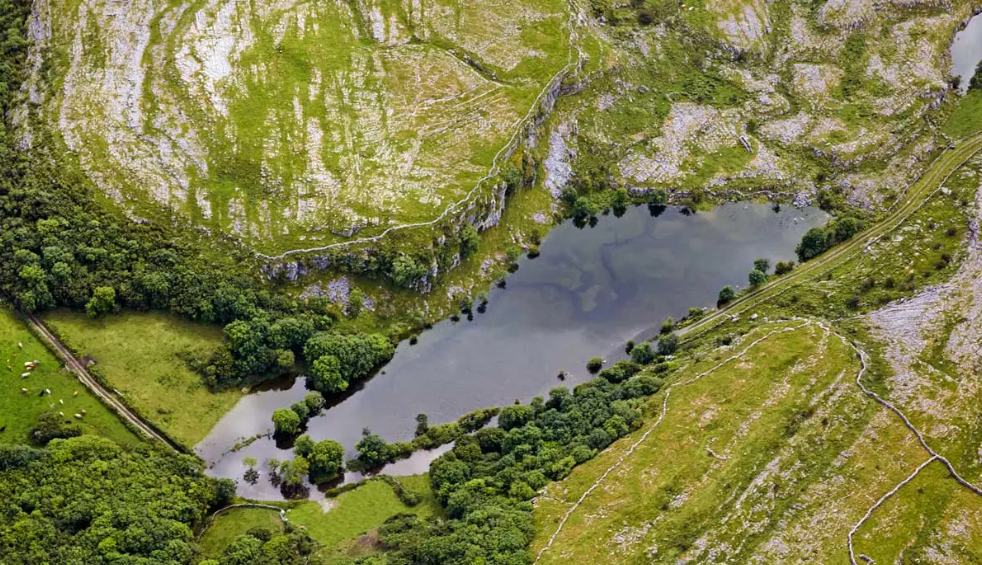 An Bhoirinn. Pictiur Getty.png 1