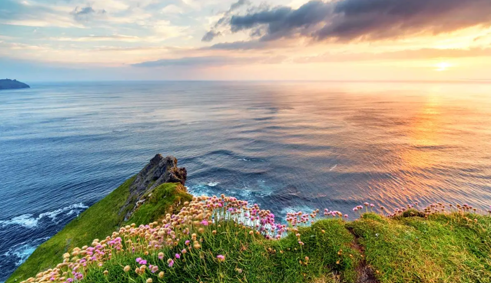 An Bhoirinn. Pictiur Getty.png 2