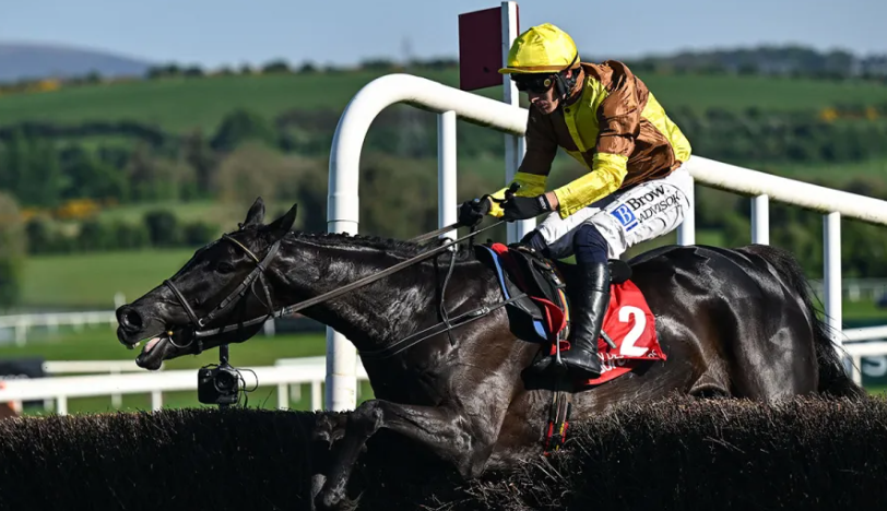 Galopin Des Champs. Pictiur David FitzgeraldSportsfile