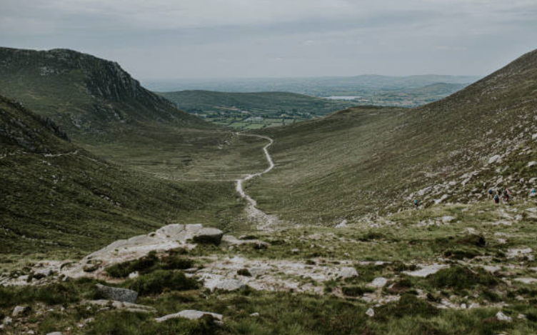 Screenshot 2026 01 05 101729