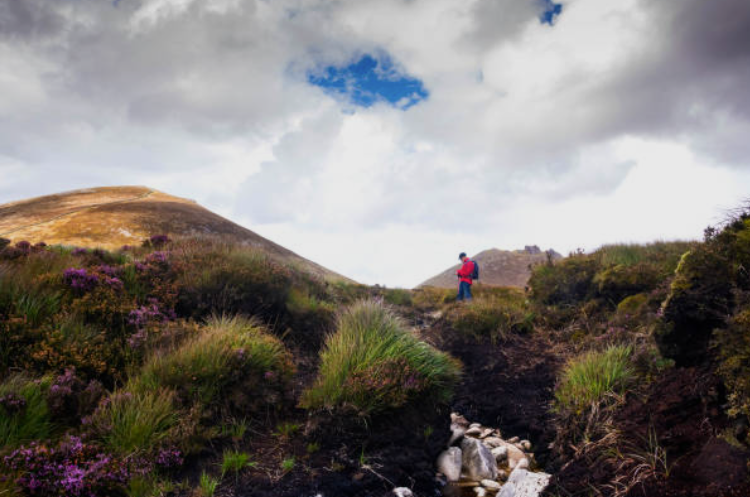 Screenshot 2026 01 05 101753