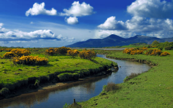 Screenshot 2026 01 05 101826