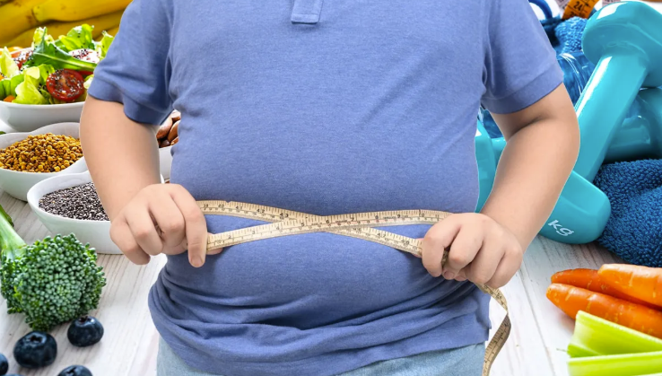 Molann siad freisin bianna ultraphróiseáilte a theorannú i mbéilí scoile agus bianna úra a dhéanamh níos inacmhainne