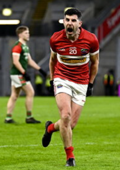 Screenshot 2026 01 19 095701