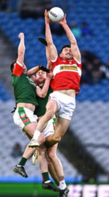 Screenshot 2026 01 19 095838