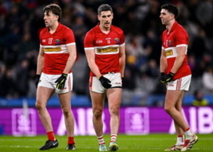 Screenshot 2026 01 19 095913