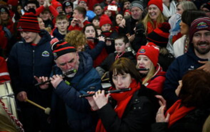 Screenshot 2026 01 19 100251