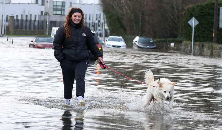 Screenshot 2026 01 28 054359