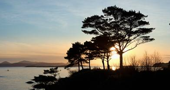 Screenshot 2026 01 28 091341