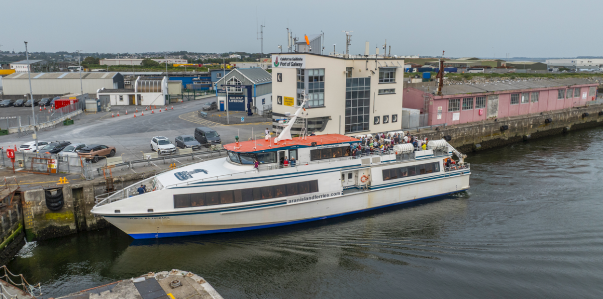 Screenshot 2026 02 11 165242