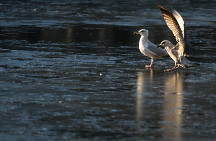 Screenshot 2026 02 12 220122