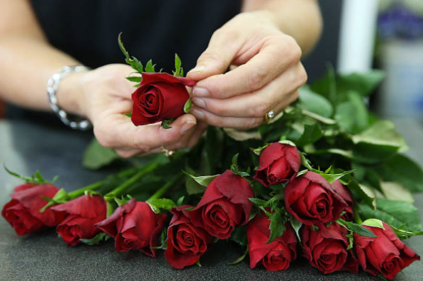 Screenshot 2026 02 12 223523