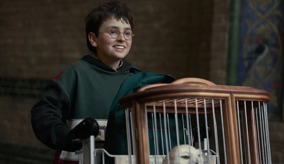 Dominic McLaughlin mar Harry Potter. Pictiu Aidan MonaghanHBO