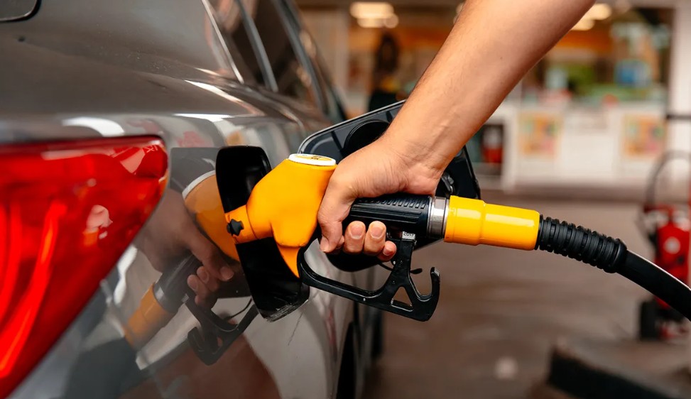 Praghsanna peitril ag ardú Pictiúr Shutterstock