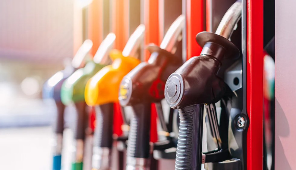 Peitreal. Pictiur Shutterstock