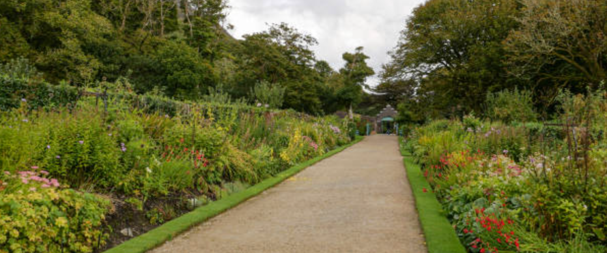 Screenshot 2026 03 13 114653