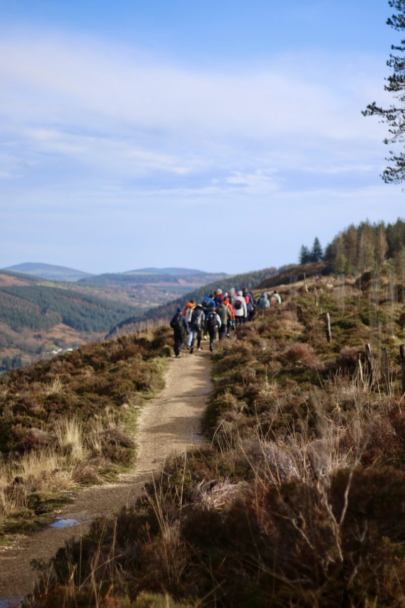 An Freamhu Collective. Pictiur Curtha ar fail 2