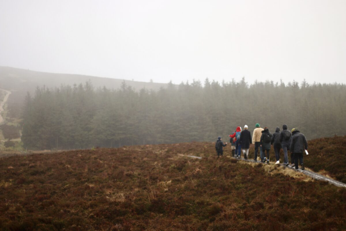 An Freamhu Collective. Pictiur Curtha ar fail 3