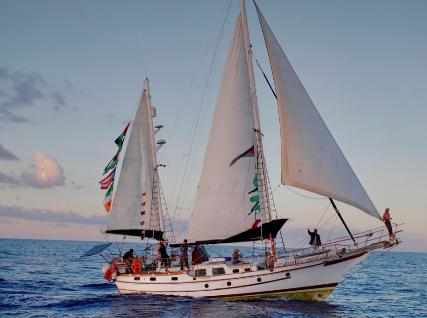 Screenshot 2026 04 12 191644