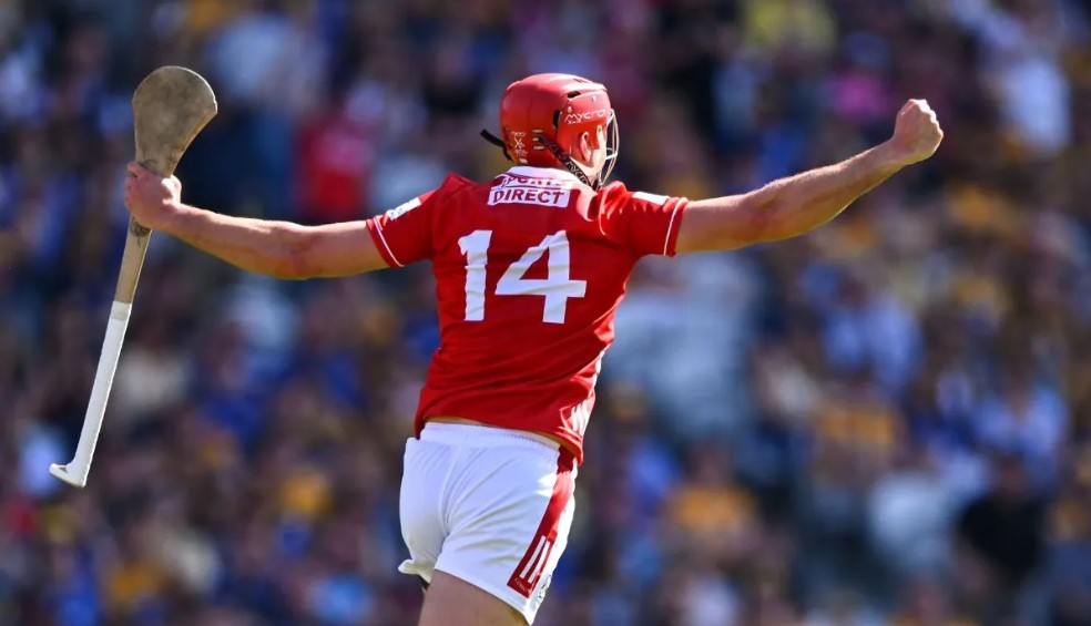 Corcaigh. Brian Hayes. Pictiur Piaras O Midheach Sportsfile