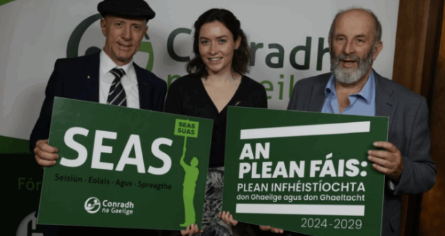 Na deartháireacha Healy-Rae ag tacú le SEAS